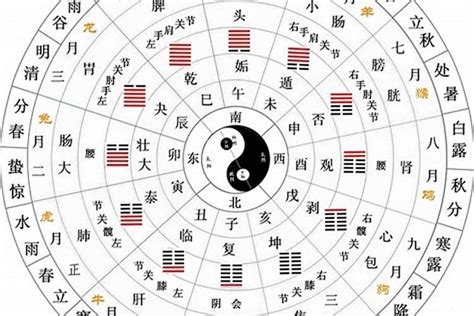 天干 地支 五行|天干地支（中国古代天文历法）